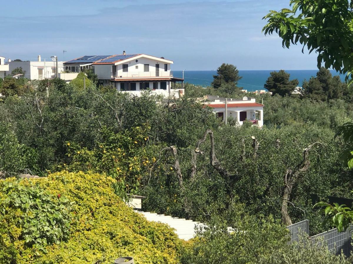 Appartamenti Santa Margherita Βιέστε Εξωτερικό φωτογραφία